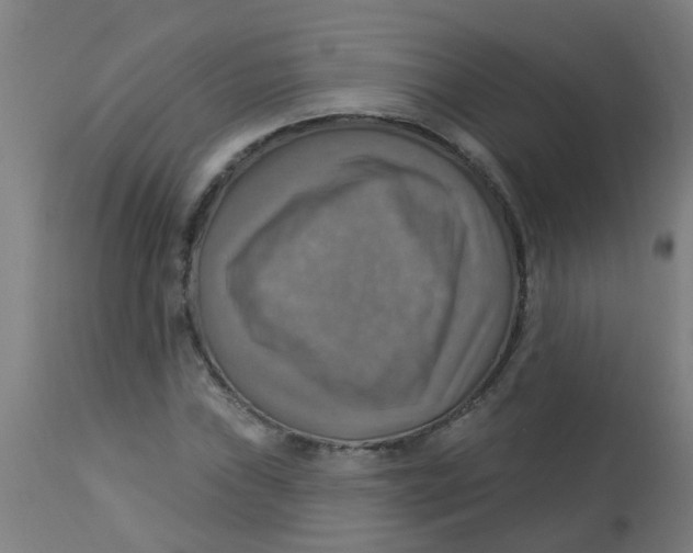 X0000113231019200910081400