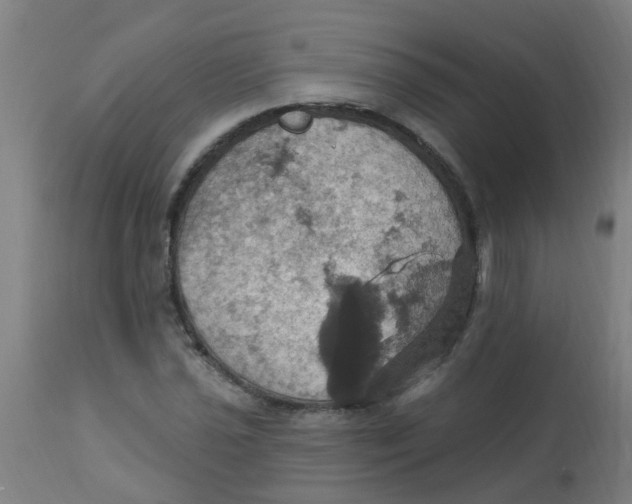 X0000113231021200910081400