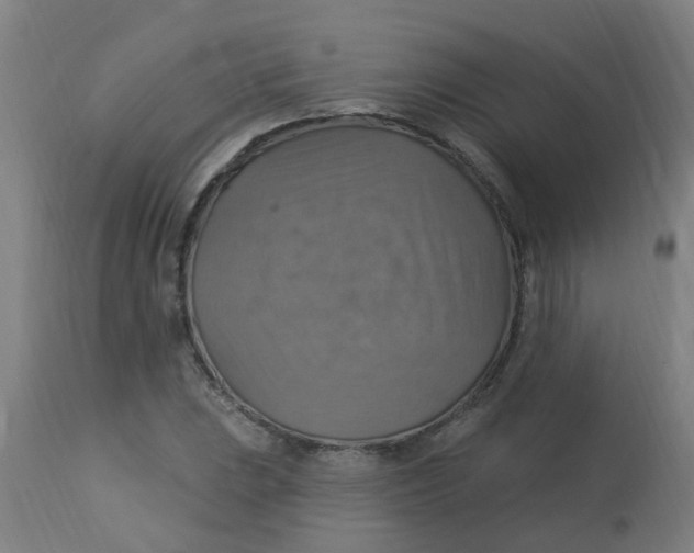 X0000113231023200910081400