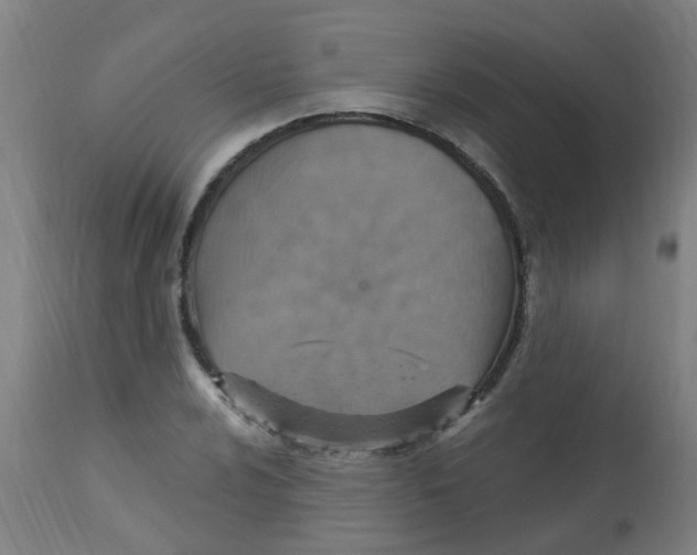 X0000113231024200910081400