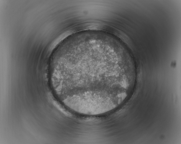 X0000113231026200910081400