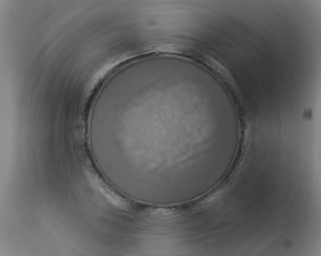 X0000113231027200910081400