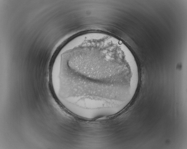 X0000113231028200910081400