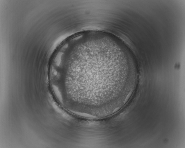 X0000113231030200910081400