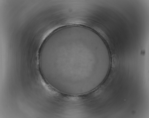 X0000113231031200910081400