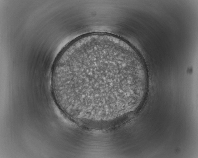 X0000113231032200910081400