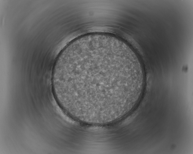 X0000113231033200910081401