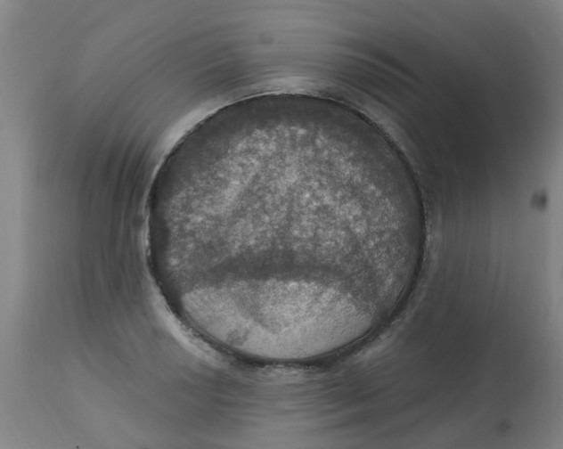 X0000113231034200910081401