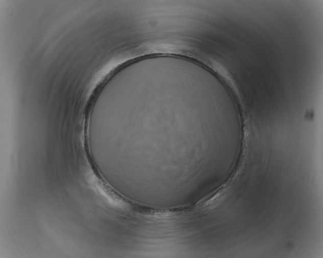 X0000113231035200910081401