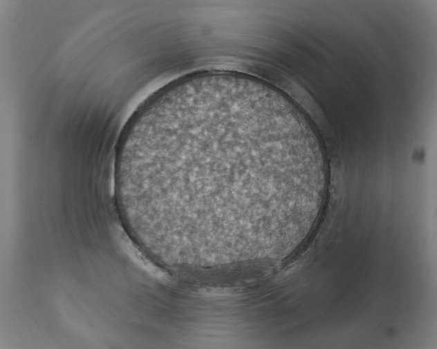 X0000113231036200910081401