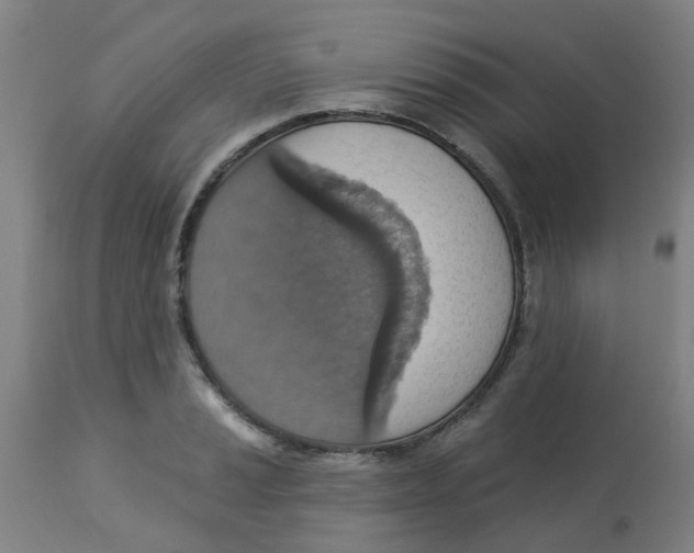 X0000113231037200910081401