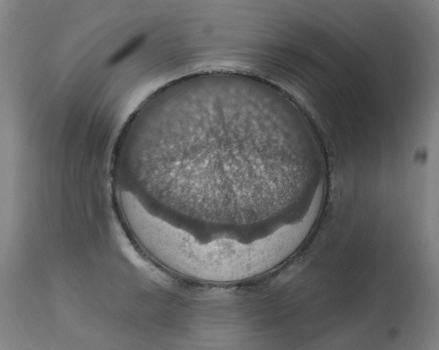 X0000113231038200910081401