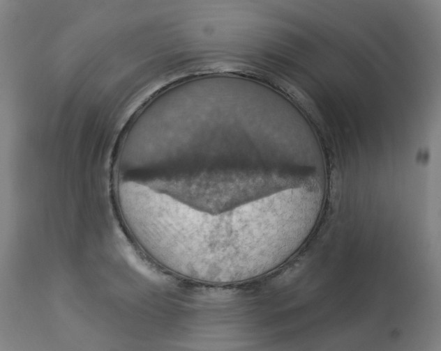 X0000113231039200910081401