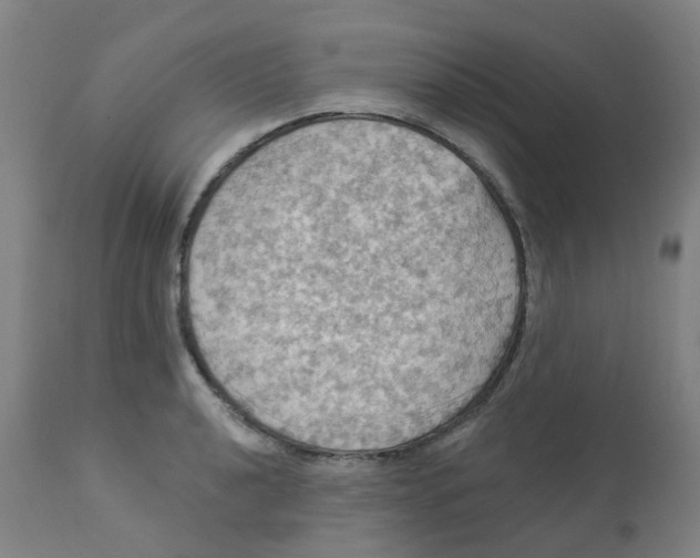 X0000113231040200910081401