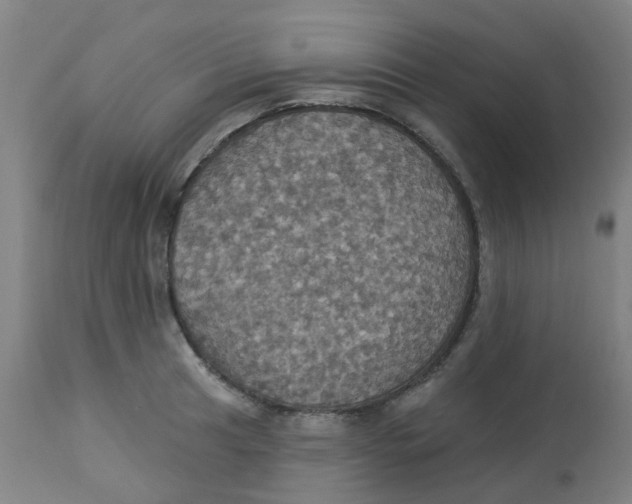 X0000113231041200910081401