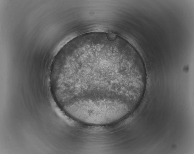 X0000113231042200910081401