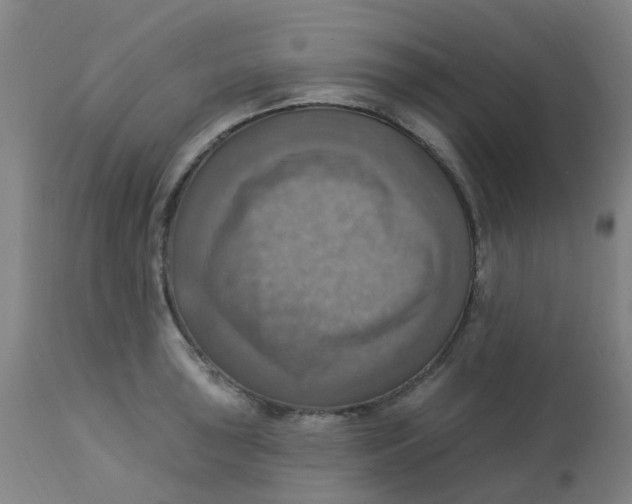 X0000113231043200910081401