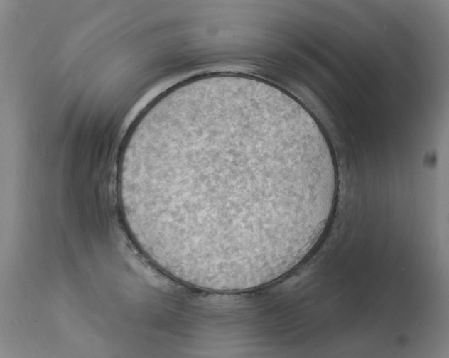 X0000113231044200910081401