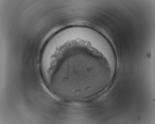 X0000113231045200910081401