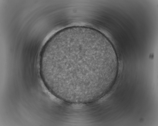 X0000113231046200910081401