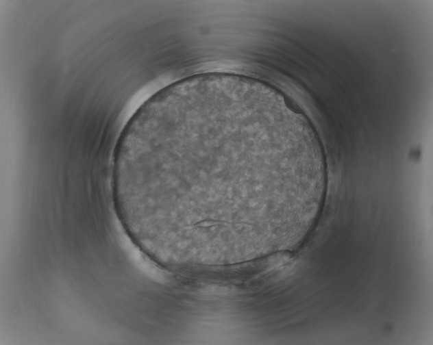 X0000113231050200910081401