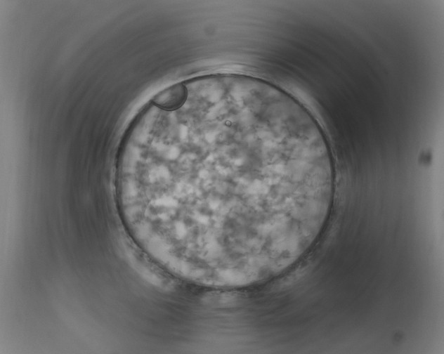 X0000113231051200910081401