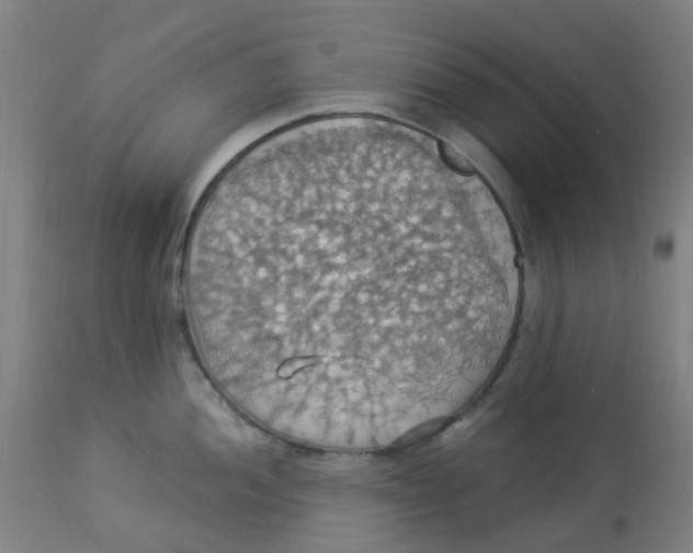 X0000113231052200910081401