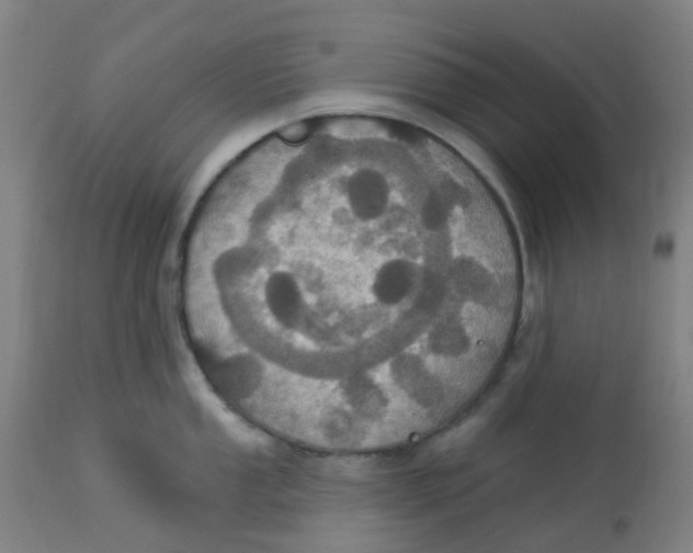 X0000113231053200910081401