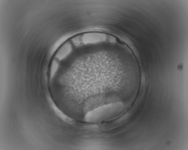 X0000113231054200910081401