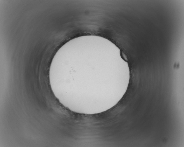 X0000113231057200910081400