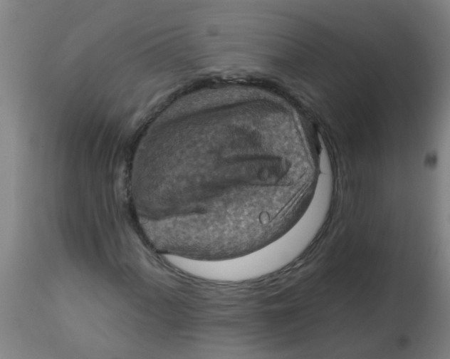 X0000113231060200910081400