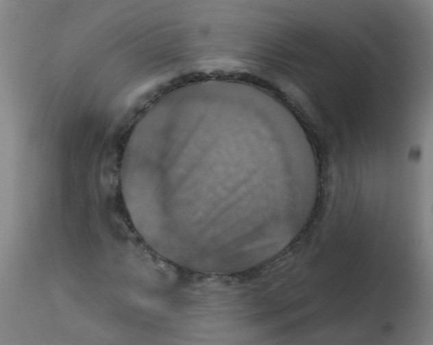 X0000113231063200910081400