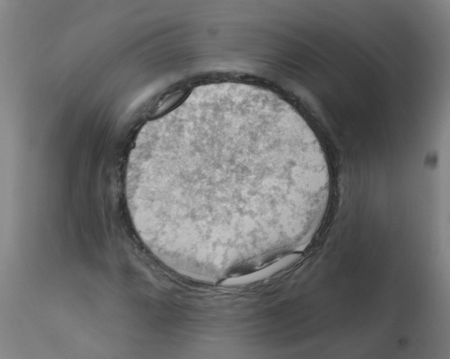 X0000113231064200910081400