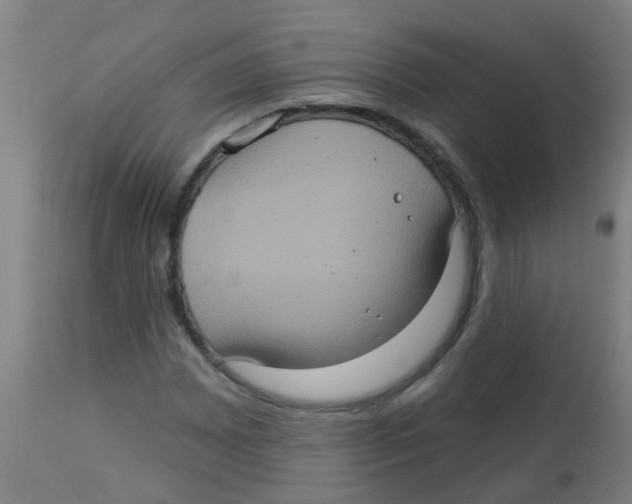 X0000113231065200910081400