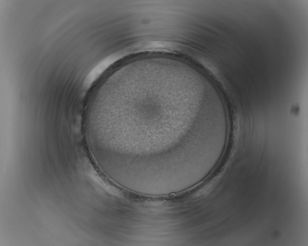 X0000113231066200910081400