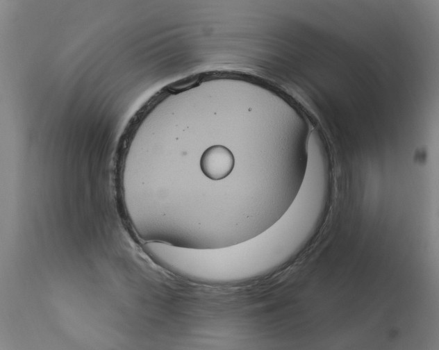 X0000113231068200910081400