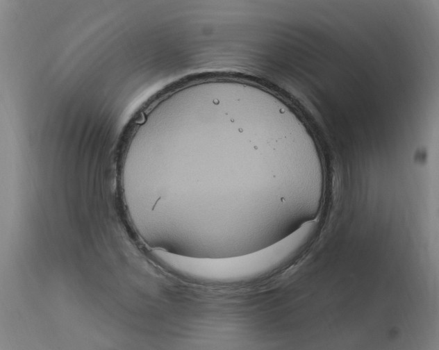 X0000113231069200910081400