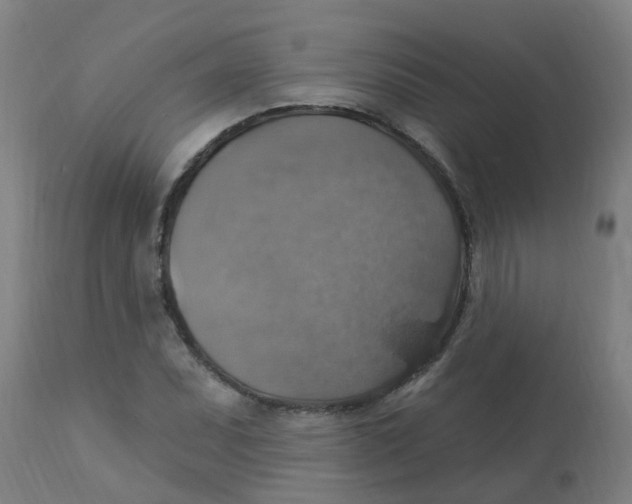 X0000113231071200910081400