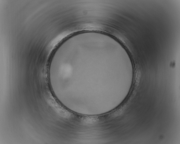 X0000113231074200910081400