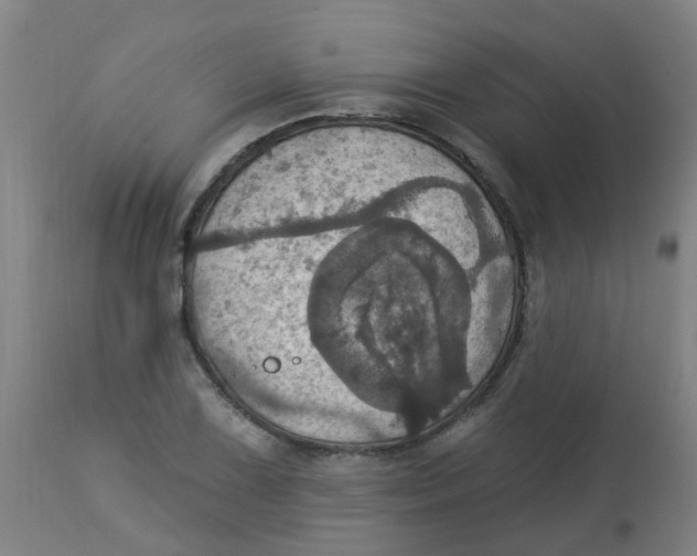 X0000113231075200910081400