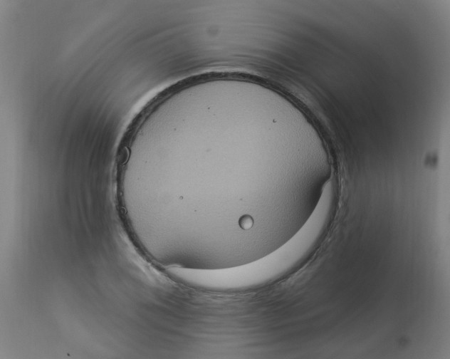 X0000113231076200910081400