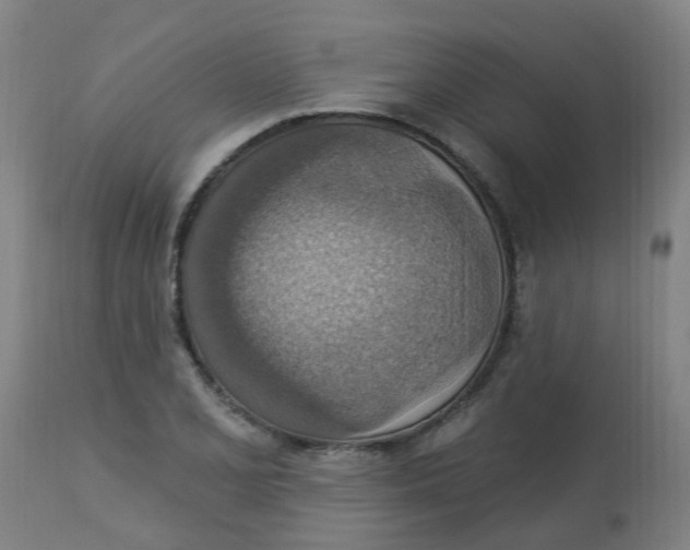 X0000113231077200910081400