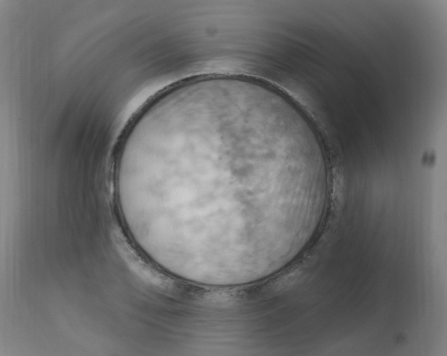 X0000113231078200910081400