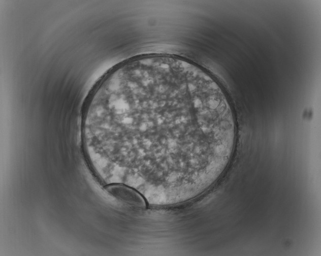 X0000113231079200910081400