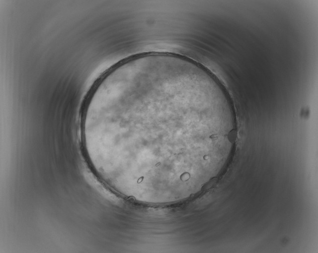 X0000113231080200910081400