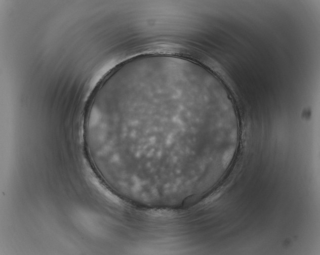 X0000113231083200910081400