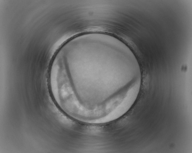 X0000113231086200910081400