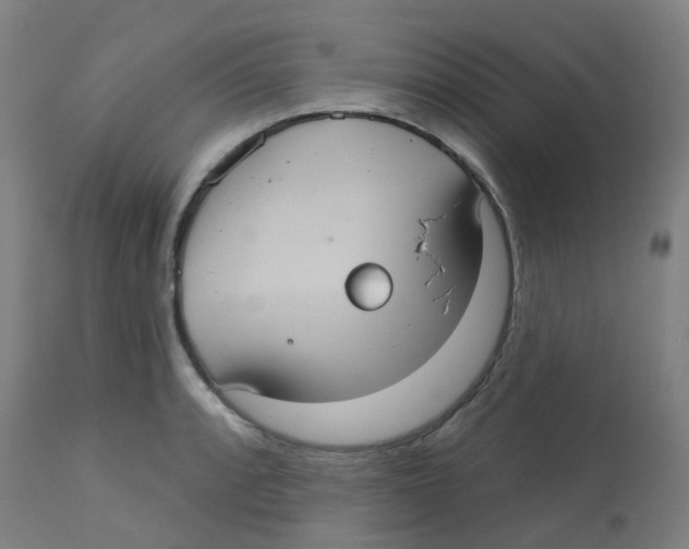 X0000113231088200910081400