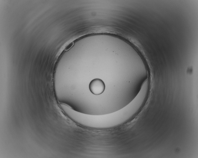 X0000113231089200910081400