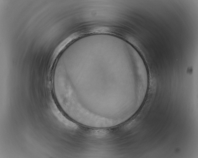 X0000113231090200910081400